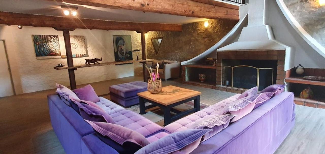 Gite De 420 Metres Carres Dans Chateau L'Ange Au Violon Jusqu'A 13 Couchages Conques-sur-Orbiel エクステリア 写真