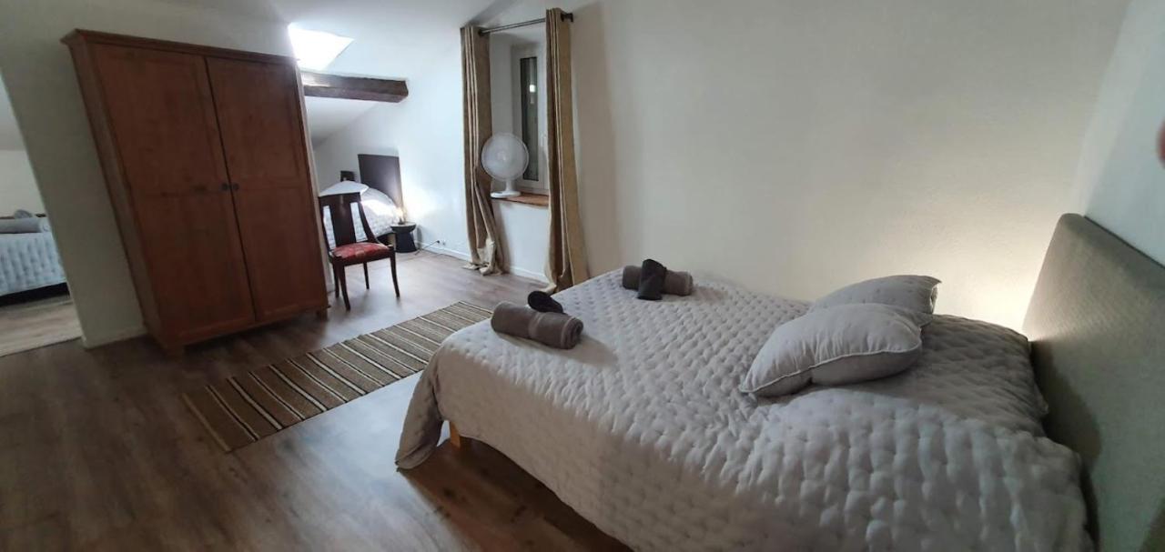 Gite De 420 Metres Carres Dans Chateau L'Ange Au Violon Jusqu'A 13 Couchages Conques-sur-Orbiel エクステリア 写真